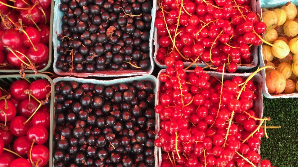 Des cerises, des baies de cassis, des gadelles et des groseilles à maquereau.