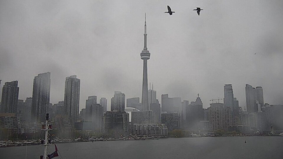 Vue du centre-ville de Toronto sous la pluie.