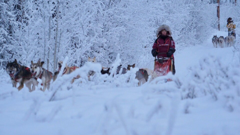 Une fille pilote un traîneau à chiens. Derrière elle, une autre personne en fait de même. Tout autour et devant elles, les arbres et plantes sont tous blancs de neige.