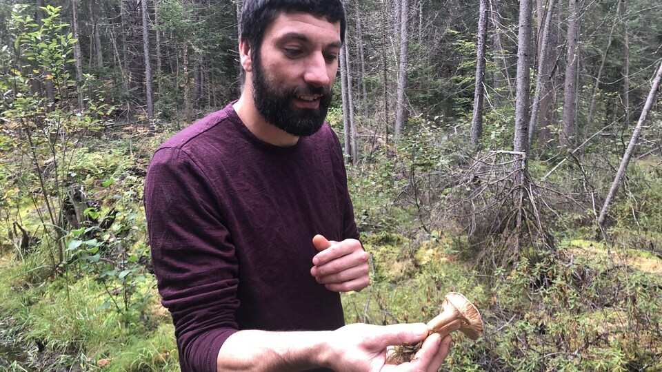 Un homme tient un champignon sauvage dans la forêt.