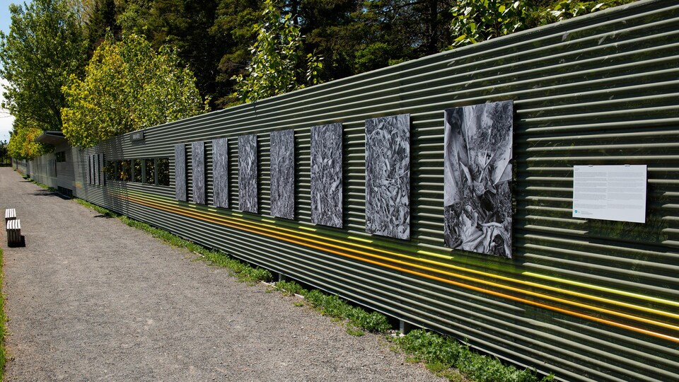 Exposition ''Antifloral'' au Jardins de Métis