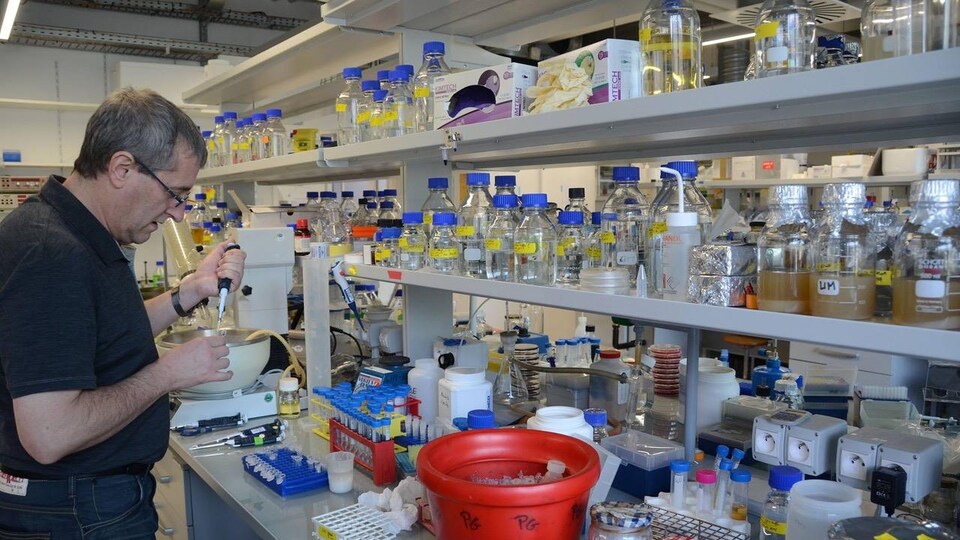 Un homme manipule des pipettes dans un laboratoire.