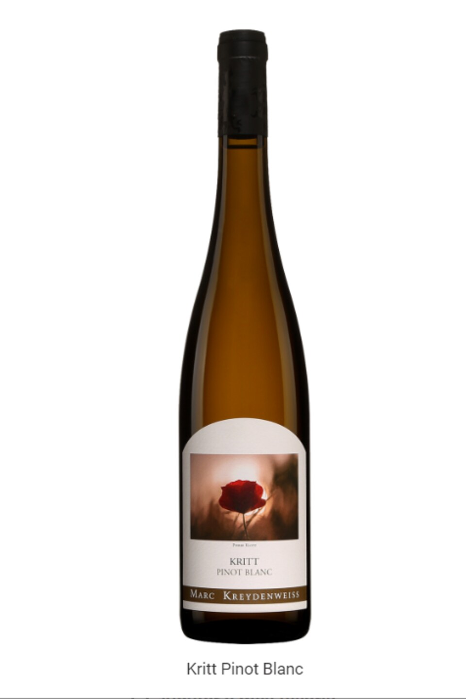 À découvrir avec la fondue