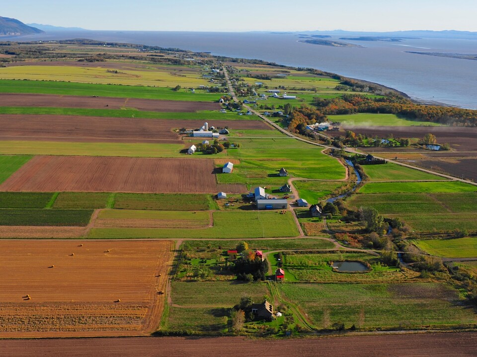 l'île d'Orléans.