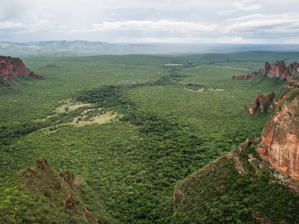 L Amazonie Poumon De La Terre Vraiment Radio Canada Ca