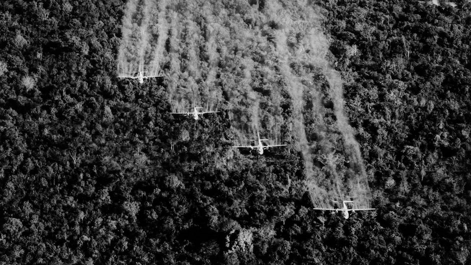 ancient orange vietnam – vietnam agent orange map 1968 – Filmisfine