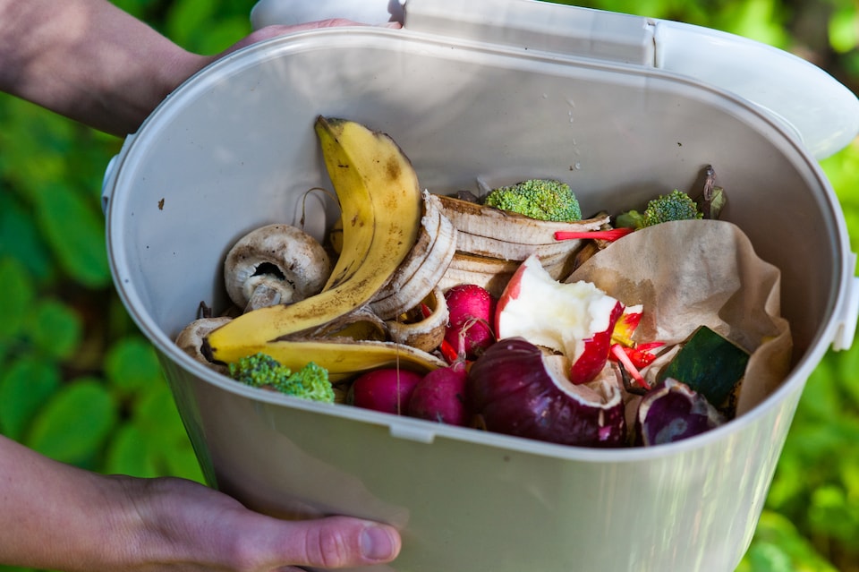 Bac de compostage domestique avec fruits et légumes