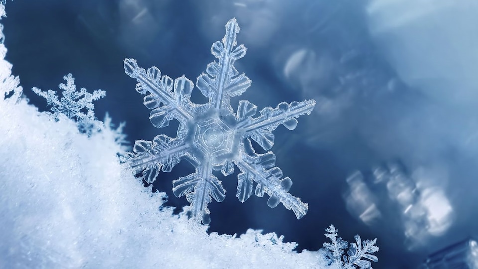 Des cristaux de neige