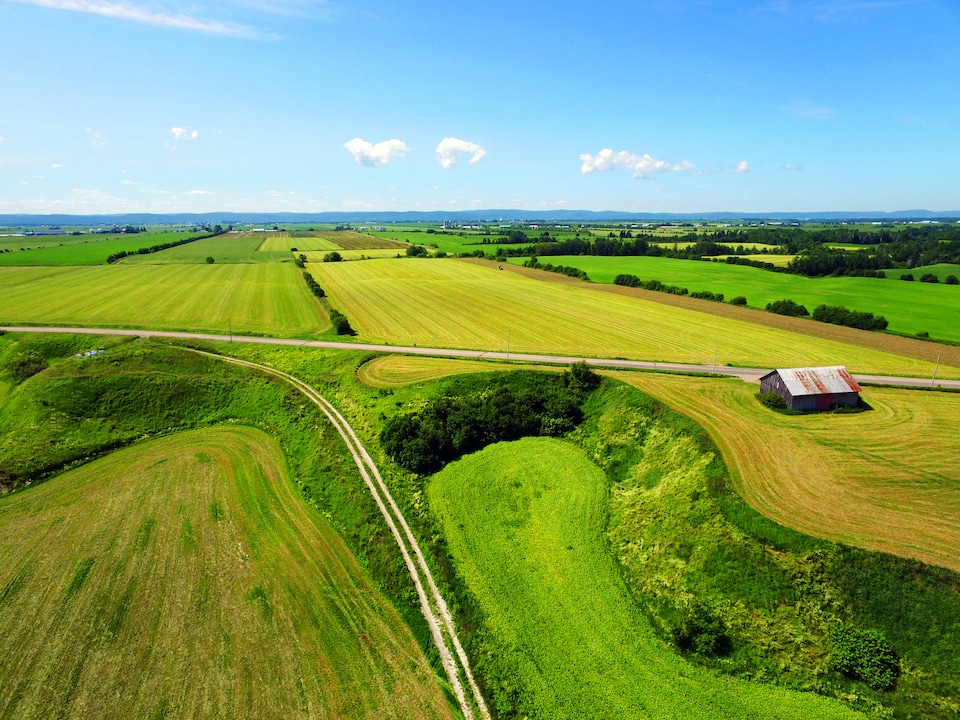 Une vue aérienne montre des champs cultivés dans la campagne québécoise.