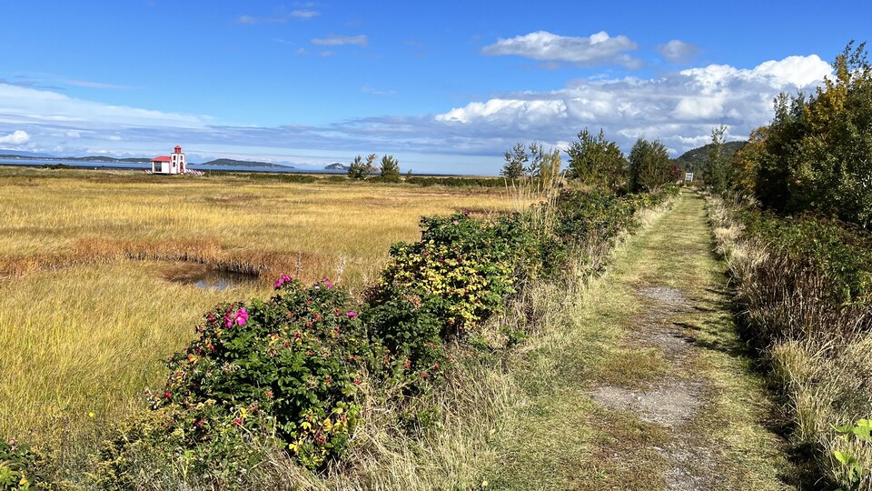 Un sentier pédestre sur l'aboiteau de Saint-André-de-Kamouraska.