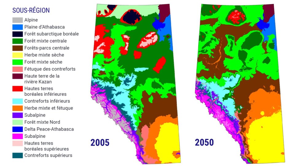 Carte des écosystèmes en Alberta, montrant des changements importants de 2005 à 2050.