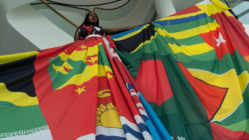 Une femme dans un escalier qui porte une robe faite de différents drapeaux colorés.