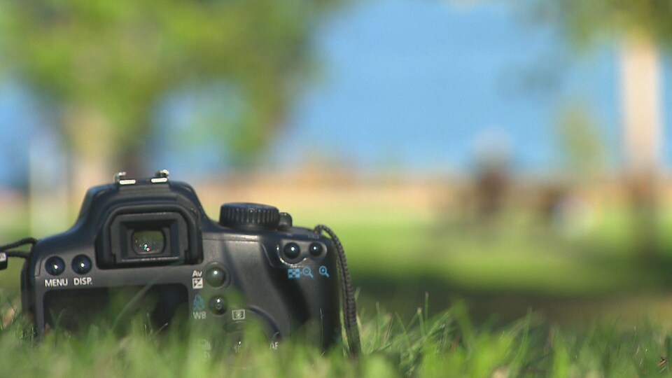 Un appareil photo repose dans le gazon.