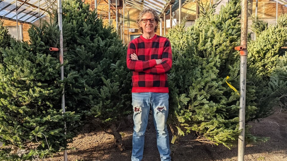 Le propriétaire du centre de jardinage Golden Acres, Colin Hayles, devant des arbres de Noël.