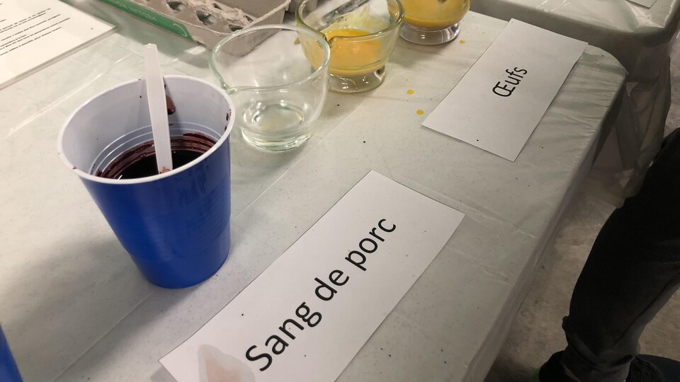 Des verres sont sur une table. Ils contiennent du sang de porc, de l'huile de canola ainsi que des jaunes d'oeufs.