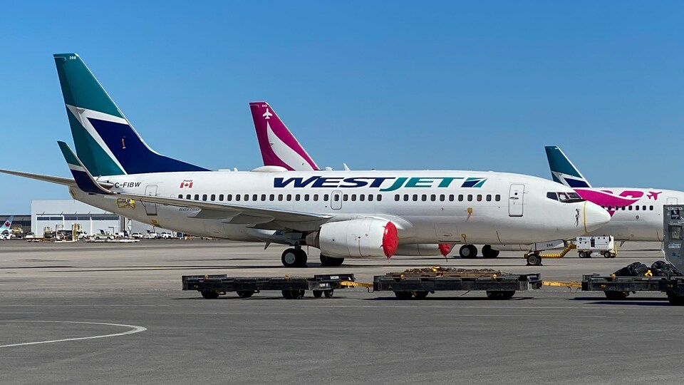 Un avion de la compagnie WestJet sur le tarmac de l'aéroport Pearson de Toronto.