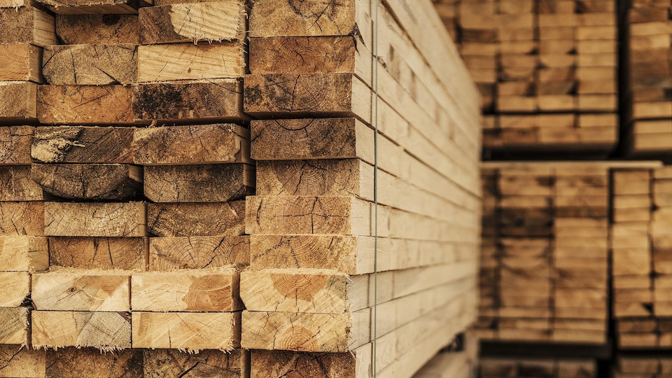 Plusieurs piles de planches de bois.