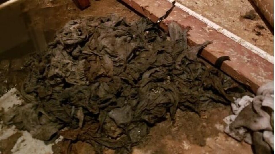 Un amas de lingettes et d'autres objets sales à côté d'une conduite.