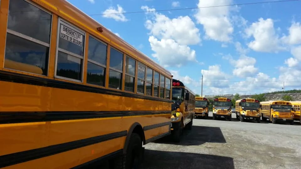 Des bus scolaires sont stationnés.