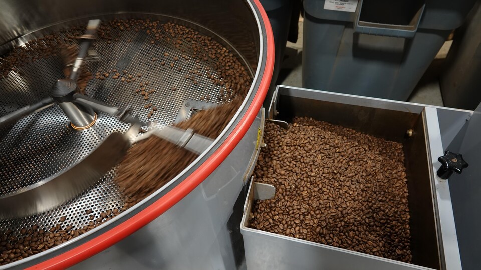 De grains de café sortent du torréfacteur et s'accumulent dans un réceptacle en aluminium.