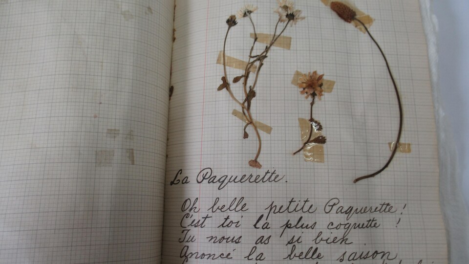 Un vieux cahier avec de fleurs séchées collées à l'intérieur et un poème.