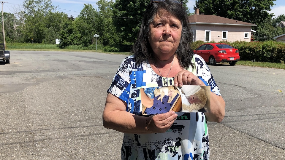 Victoriaville plus sévère envers les propriétaires de chien 