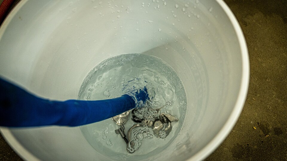 A hose bubbles in a bucket of water. 