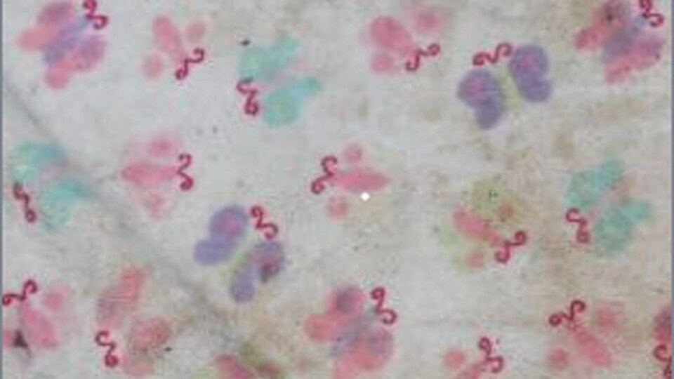 Close-up of a butterfly-patterned blanket.