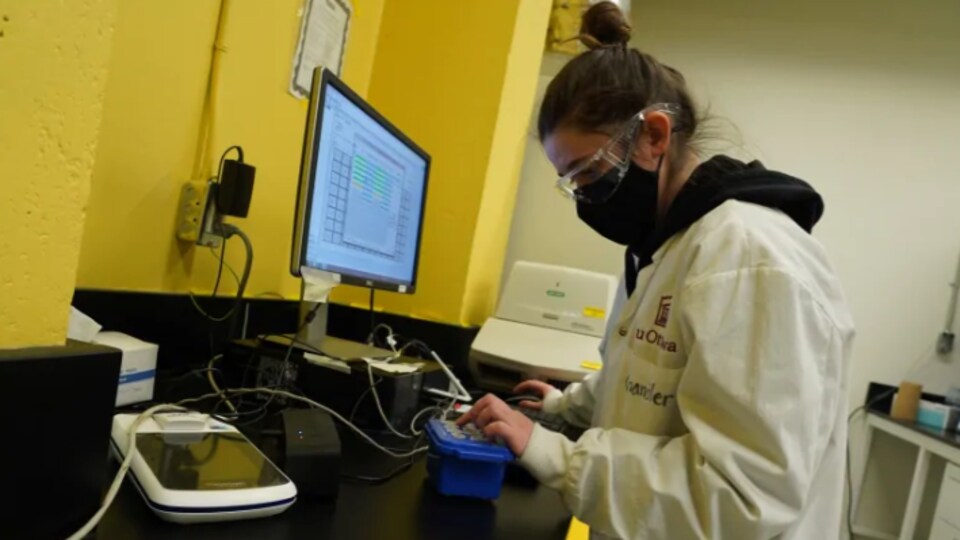Une femme travaille devant un écran d'ordinateur dans un laboratoire de l'Institut de recherche du CHEO.