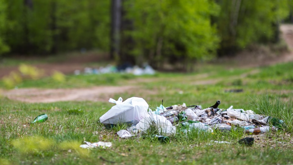 Des déchets et des poubelles par terre dans un parc.