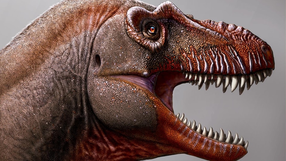 Représentation d'un tyrannosaure la gueule ouverte. On peut voir une rangée de dents acérées. Des lignes verticales comme des cicatrices ponctuent sa machoire. 