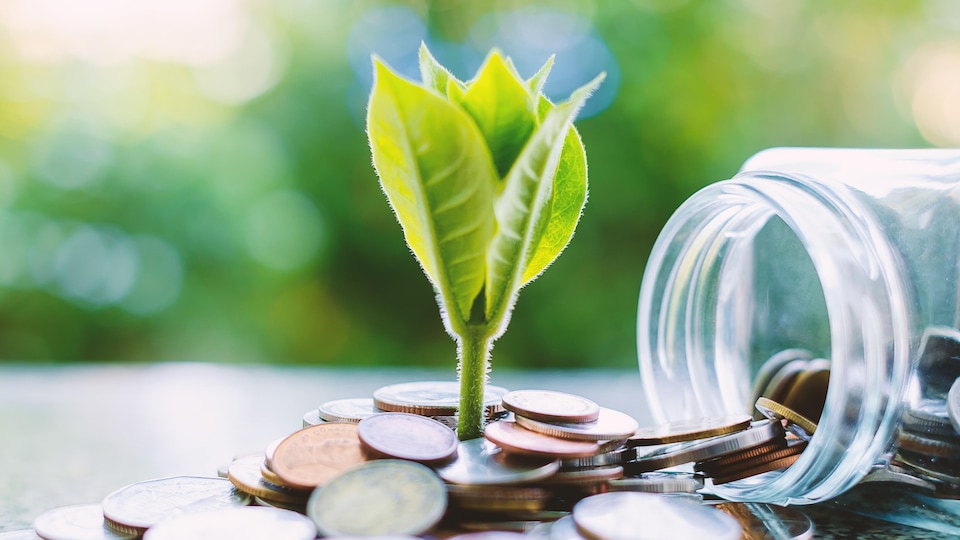 Une plante qui pousse à travers des pièces qui proviennent d'un bocal en verre.
