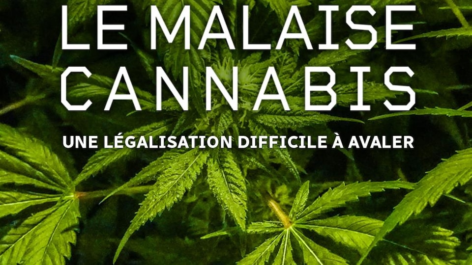Le malaise cannabis