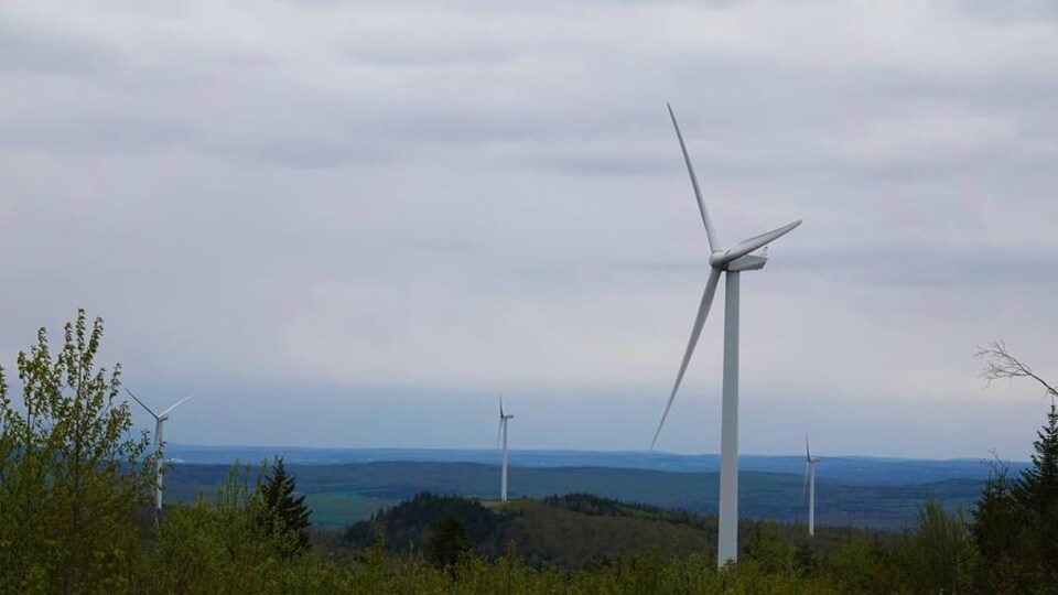 Des éoliennes dans le paysage. 