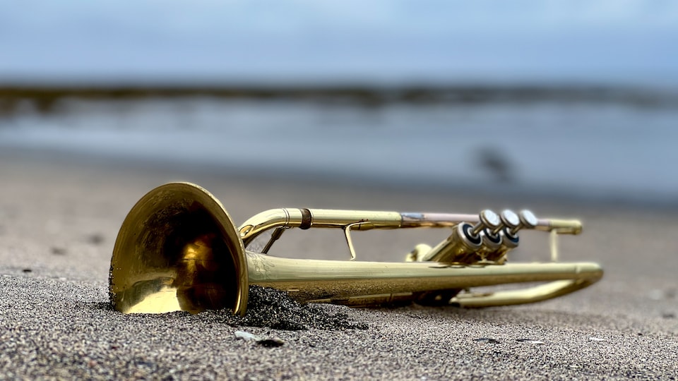 Gros plan d'une trompette sur le sable d'une plage.