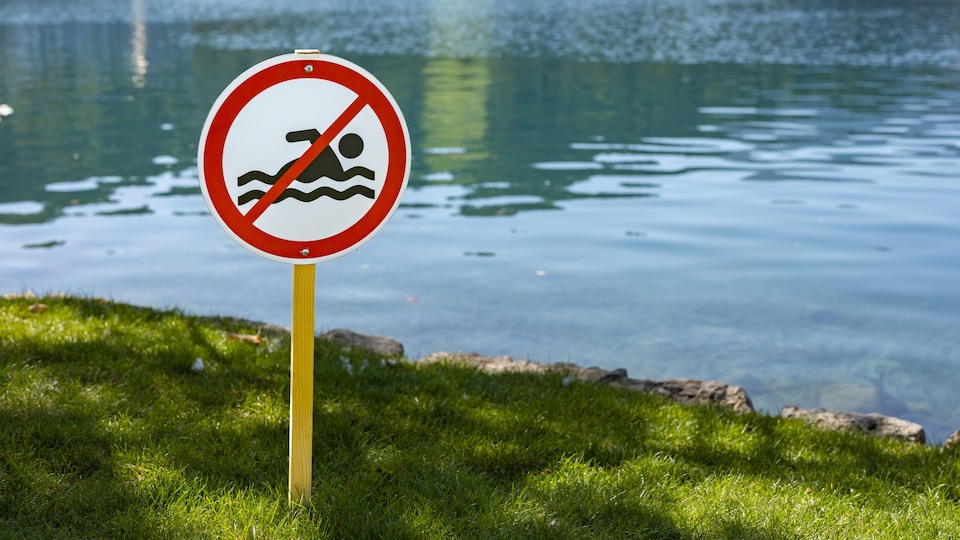 Une pancarte sur le bord d'un lac qui indique que la baignade est interdite.