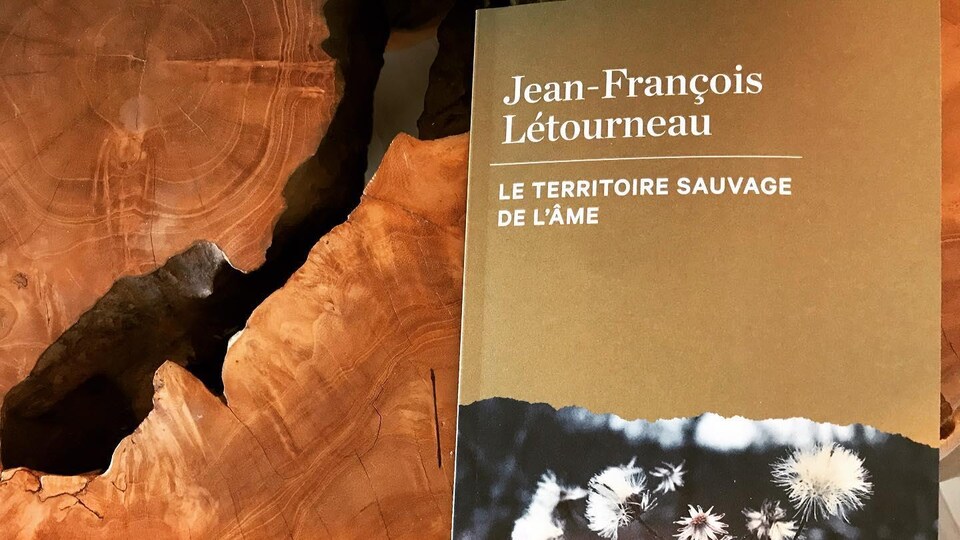 La page couverture du livre « Le territoire sauvage de l'âme » est ornée d'une photo de fleurs sauvages.