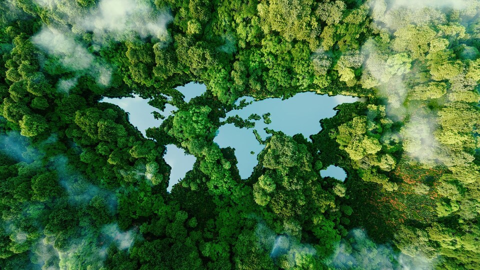 Illustration d'une forêt vue de haut avec des lacs qui forment la silhouette d'une carte du monde.