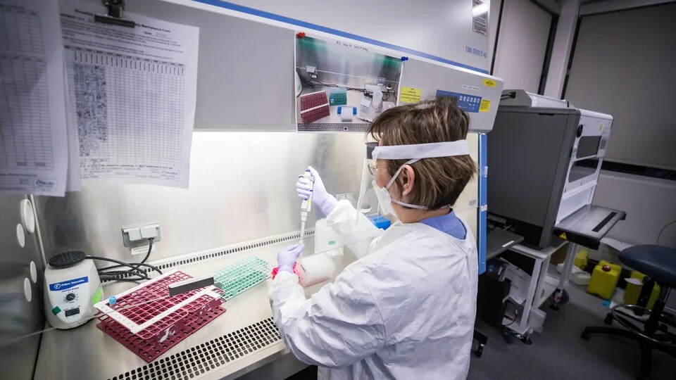 Une personne travaille sur des échantillons dans un laboratoire.