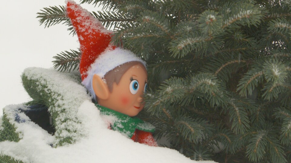Un lutin de Noël est caché sur un arbre.