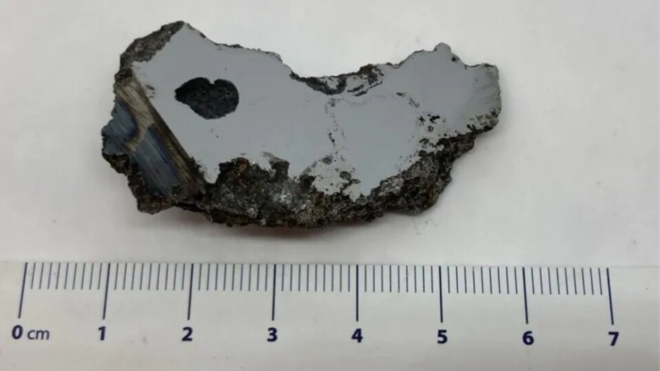 Un morceau de roc mesurant à peu près cinq centimètres.