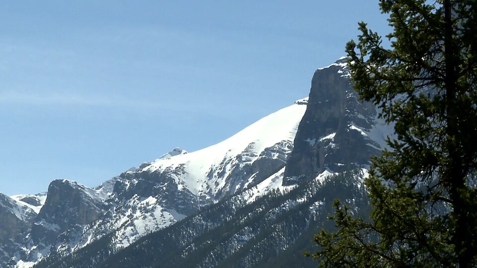 Une montagne enneigée dans le parc national Banff.