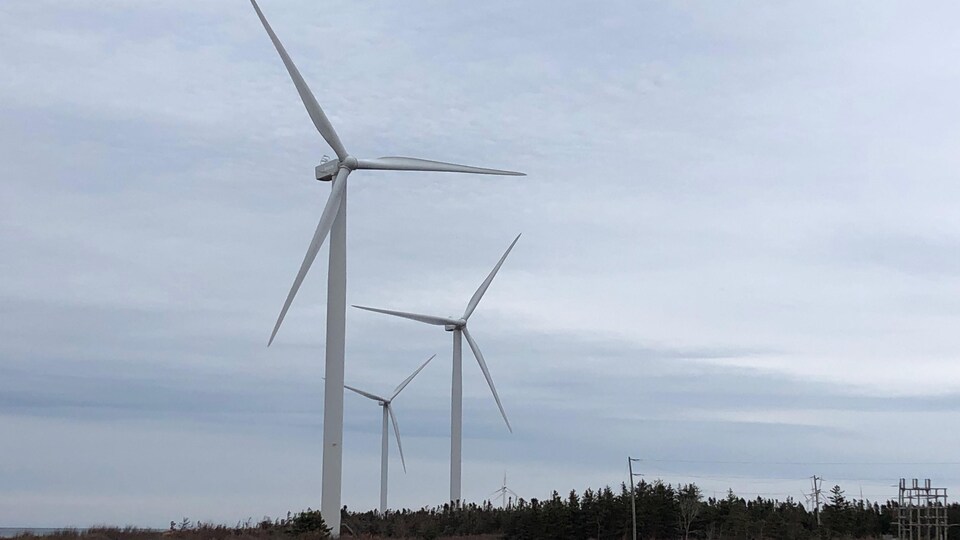 Trois éoliennes sont alignées au centre de l'image. Elles sont situées à Norway non loin de North Cape, à la pointe ouest de l'Île-du-Prince-Édouard.
