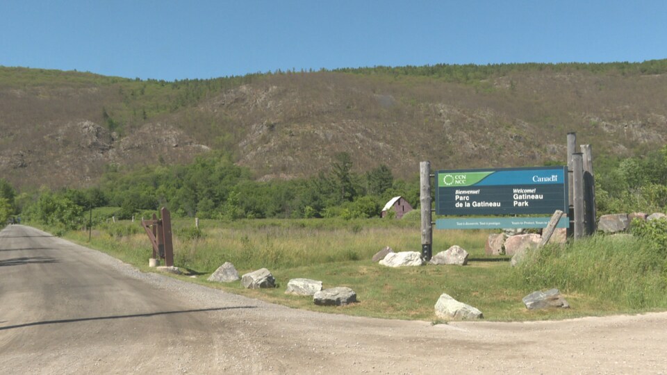 Vue sur l'escarpement d'Eardley et ses arbres sans feuillage en plein mois de juin.