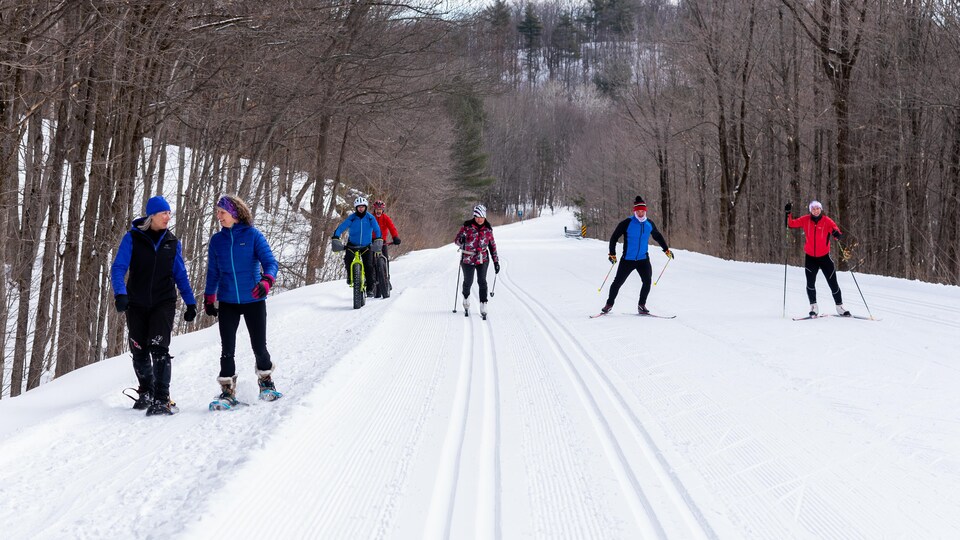 Des sportifs partagent un sentier enneigé en forêt pour pratiquer la raquette, le vélo d'hiver et le ski de fond.