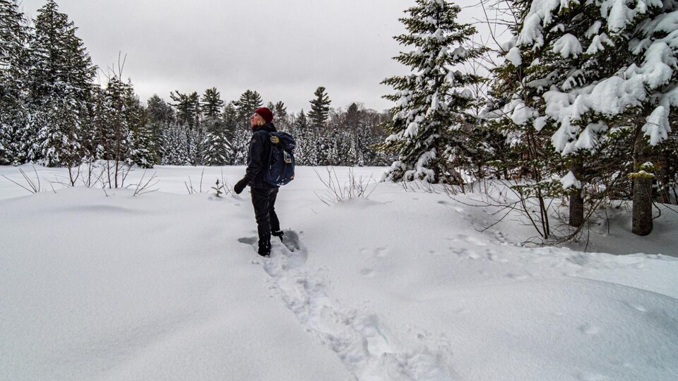Johanne marche en forêt, en s'enfonçant dans la neige, entourée de conifères enneigés.