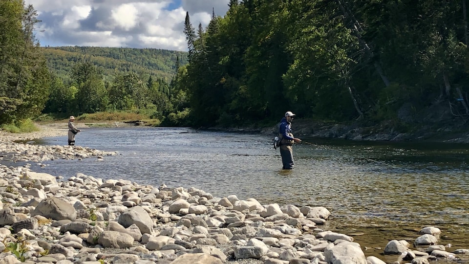 La saison de pêche au saumon s’annonce prometteuse en Gaspésie | Radio ...