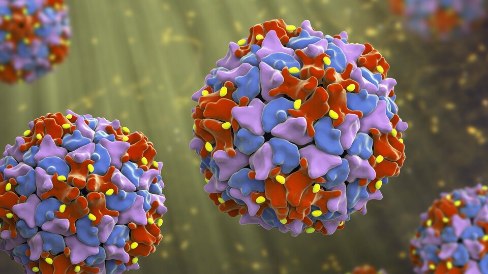 Illustration d'un virus de polio.