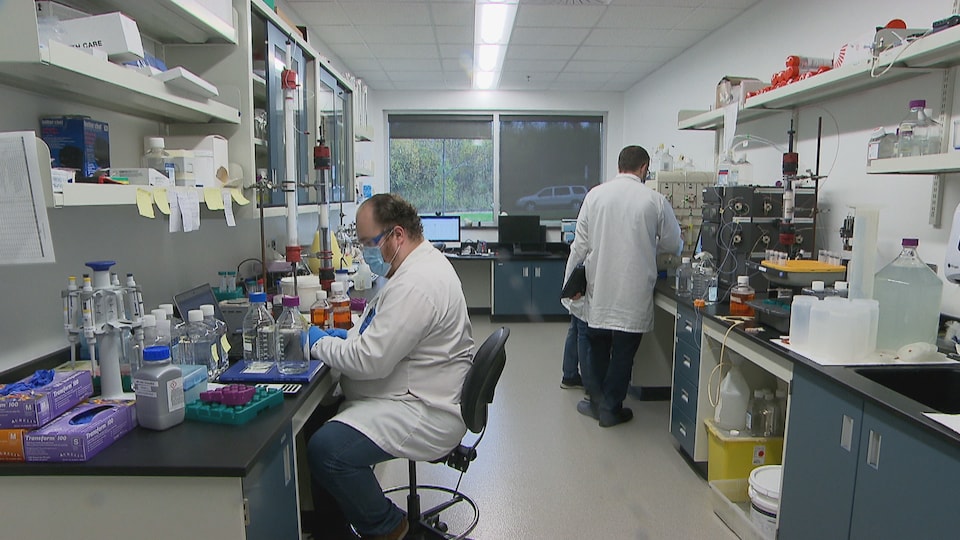 Des employés travaillent dans un laboratoire.