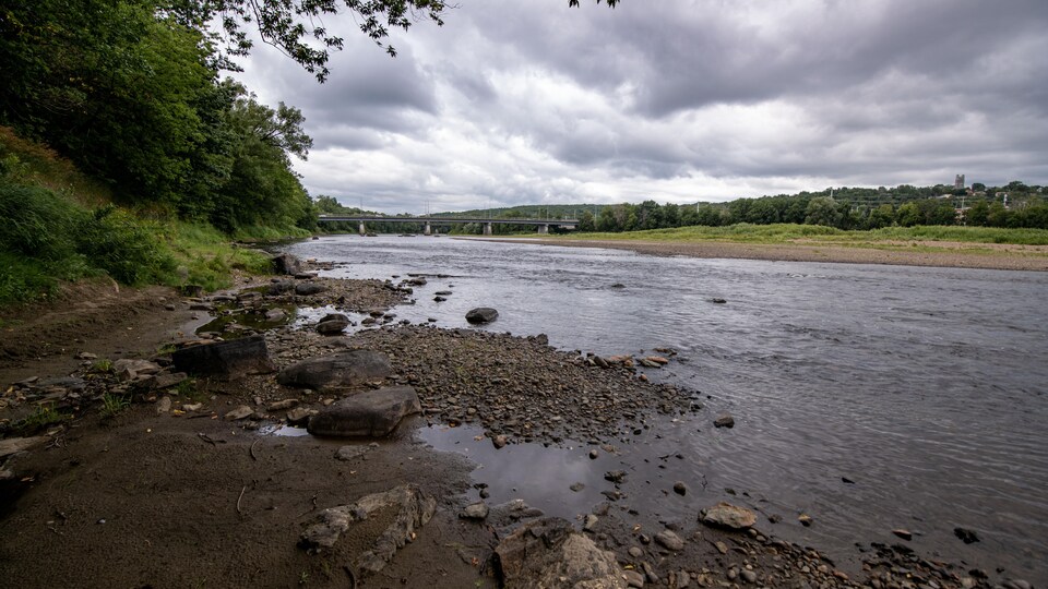 La rivière Saint-François. L'eau n'atteint pas la berge.